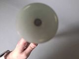 a person holding a frisbee in their hand