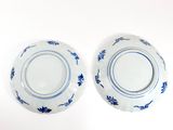 two plates with blue designs on them on a white surface