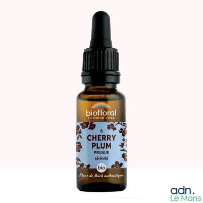 un flacon d'huile essentielle de prune cerise sur fond blanc