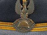 an image of a military cap with a bird emblem on it