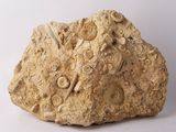 a large rock with a clock on it on a white surface