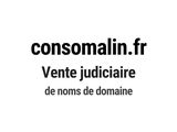 Photo 1/1 du lot