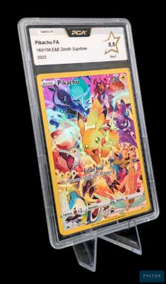 La carte Pokémon se trouve dans un étui en plastique transparent sur fond noir.
