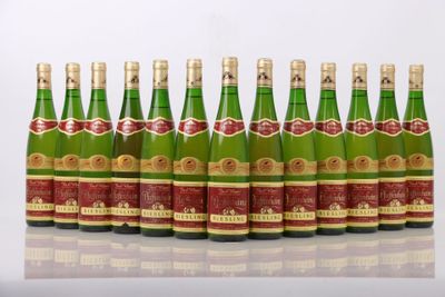 six bouteilles de vin alignées sur une surface blanche