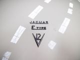 a close up of a jaguar emblem on a white plate