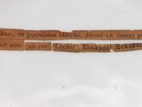 a piece of paper on a toilet seat that has a poem written on it