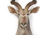 une tête d'antilope empaillée accrochée au mur, avec de grandes cornes
