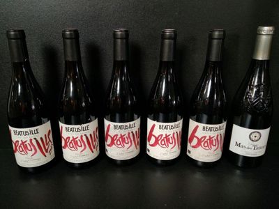 Lot de 9 bouteilles de vin rouge dont : Famille Isabel Ferra… - Photo 1