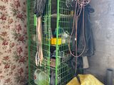 une cage verte contenant tout un tas d'objets