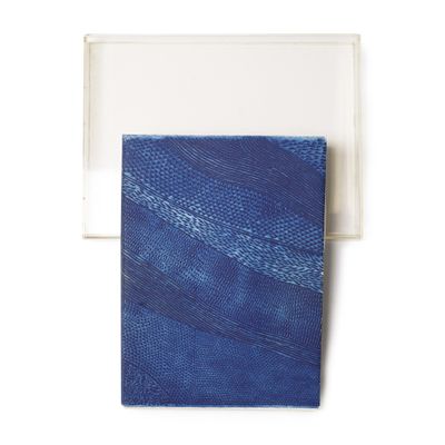 une photo d'un livre bleu et blanc à la couverture bleue