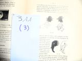 un morceau de papier posé sur un livre, sur lequel figure un dessin