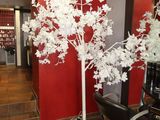 a picture of a hair salon with a tree in the middle of the room