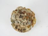 a close up of a piece of food on a white surface