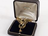 a gold dragon brooch in a black box