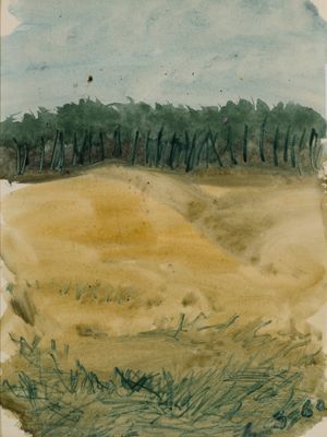un dessin représentant un champ avec des arbres en arrière-plan