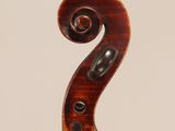 a close up of the back of a violin with a fiddle in the foreground
