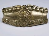 an image of a gold belt buckle with a lion on it