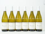 six bouteilles de vin sont alignées sur une surface blanche