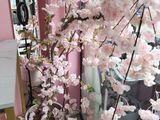 un vase contenant des fleurs roses, posé à côté d'un miroir