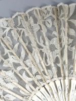 Edelweiss, Europe, vers 1920 (photo 6)
