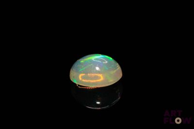an oplite in the dark with a black background