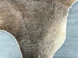 a close up of a cow ' s head on a tile floor