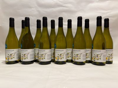 six bottles of white wine lined up in a row on a white background