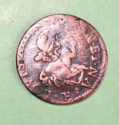 a coin with a horse on it on a green surface