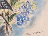 a drawing of a bird sitting on a branch with blue flowers