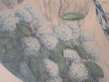 a painting of a bird sitting on a branch of a tree