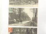 four pictures of horses and riders on the road