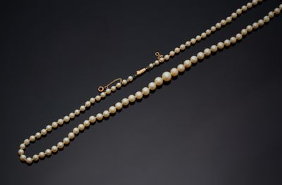 un collier de perles avec un fermoir en or sur fond noir