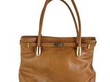 an image of a brown purse with a gold handle