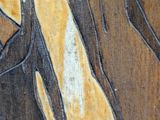 a close up of a painting of a horse on a wall