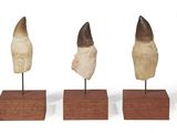 three pieces of tooth on wooden stands on a white background