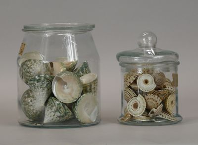 two glass jars with shells inside of them on a table