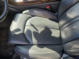 a bird that is sitting on the seat of a car