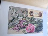 une photo d'un livre sur lequel figure une illustration de fleurs