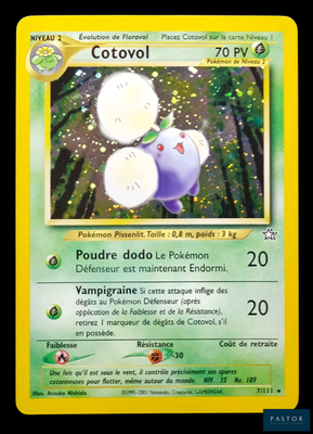 une photo d'une carte Pokémon sur laquelle figure l'image d'un chat