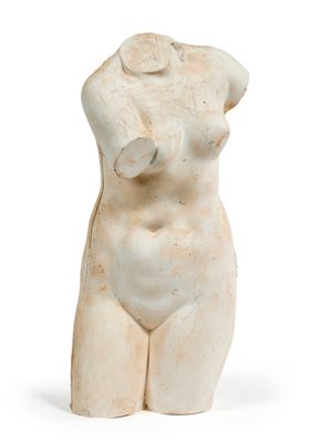 une image représentant le torse d'une femme sur fond blanc