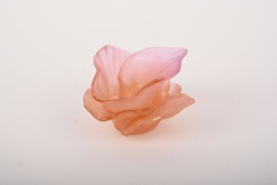 une fleur rose posée sur une surface blanche