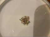 a close up of a white plate with a small piece of food on it