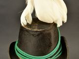 a black hat with a feather on top of it