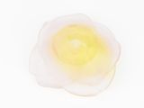 an egg in the middle of an egg yolk