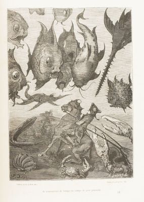 illustration représentant un homme à cheval devant un groupe de poissons