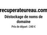 Photo 1/1 du lot