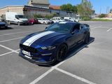IMG_1058.JPG