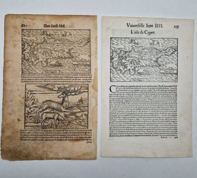 un vieux livre sur lequel figure l'image d'un cerf