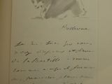 a drawing of a cat on a piece of paper