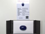 une photo d'une pierre bleue posée sur un distributeur de papier essuie-tout
